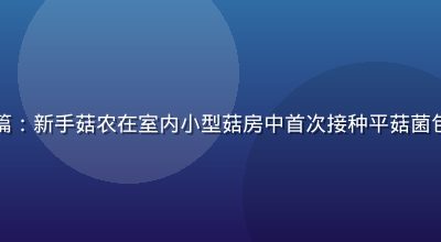 蘑菇成品人视频入门篇：新手菇农在室内小型菇房中首次接种平菇菌包，操作步骤清晰可见