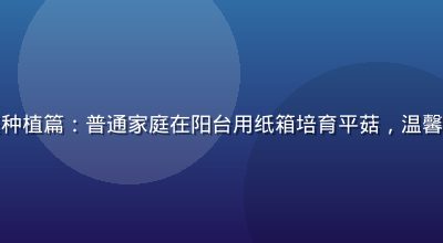 蘑菇成品人视频家庭种植篇：普通家庭在阳台用纸箱培育平菇，温馨自然的家庭种植场景
