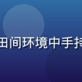 赵美玲：有机农业认证专家，在绿色田间环境中手持有机认证证书，自然光线下神情专注