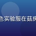 陈菇农：资深蘑菇培育专家，身着白色实验服在菇房内检查菌包，专业而亲切的面部表情